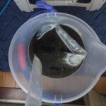 【横浜市西区　エアコンクリーニング】カビ汚れで真っ黒に汚れた水