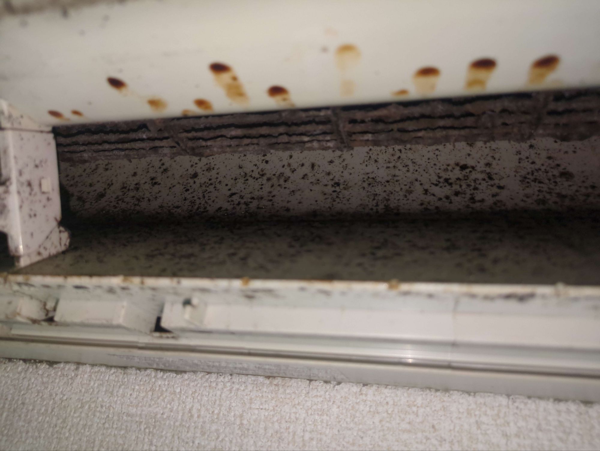 img_20250705_10030025899359979