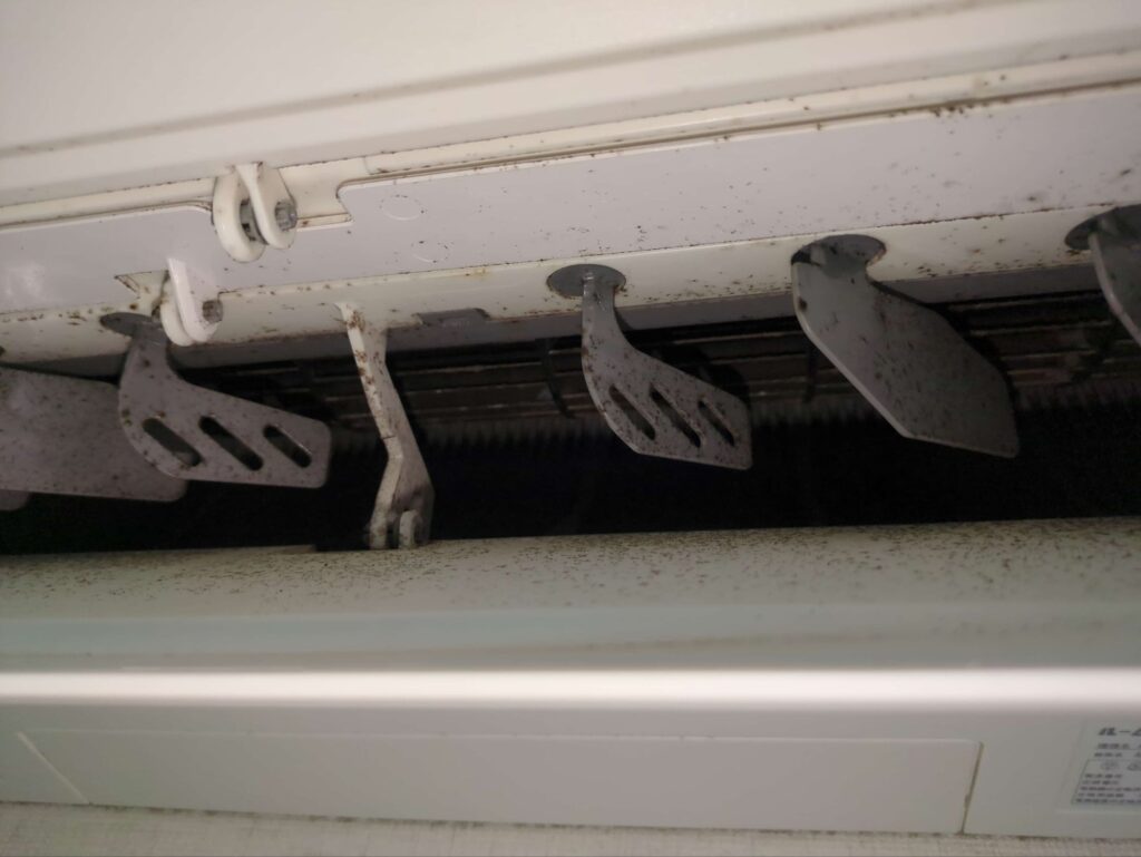 ダイキン製お掃除機能付きエアコンの黒カビが付着した送風口