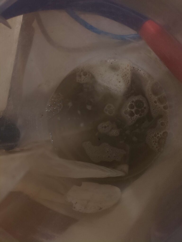 使用頻度は少ないが軽微な黒カビと埃が混じった汚水