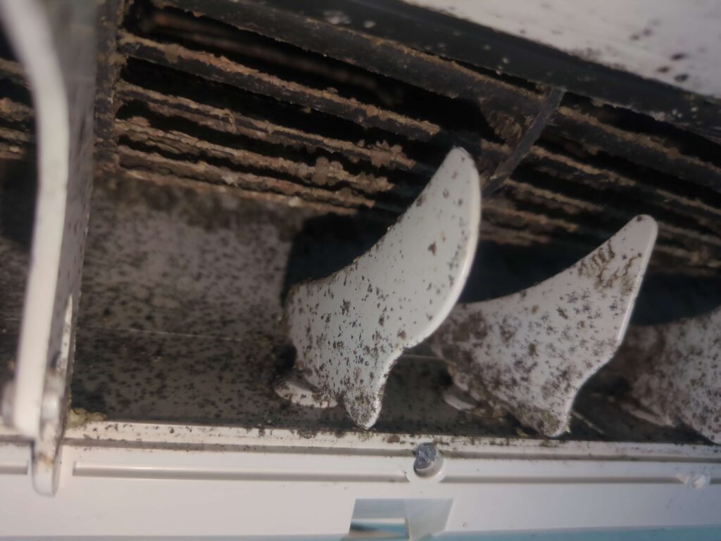 横浜市鶴見区で東芝製エアコンのエアコンクリーニングを行う前の黒カビがびっしりと付着したエアコン送風口
