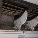 横浜市鶴見区で東芝製エアコンのエアコンクリーニングを行う前の黒カビがびっしりと付着したエアコン送風口