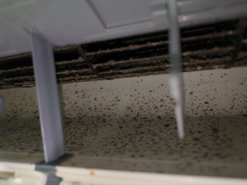 横浜市緑区で三菱電機製のエアコンクリーニングを行う前の黒カビが付着したエアコン送風口