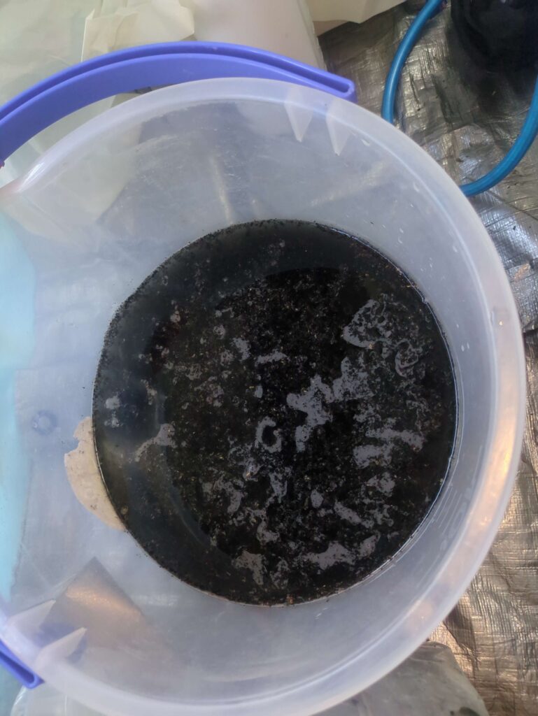 横浜市鶴見区で東芝製エアコンのエアコンクリーニングを行った後の真っ黒になった汚水